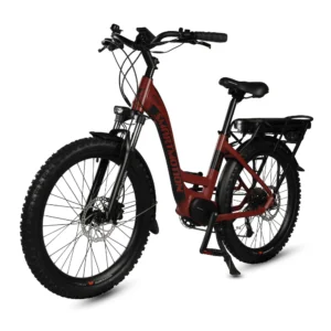 smartmotion xcity sml 24' whl