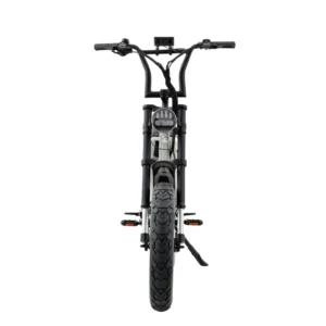 fatfish step 21ah fat tyre e bike